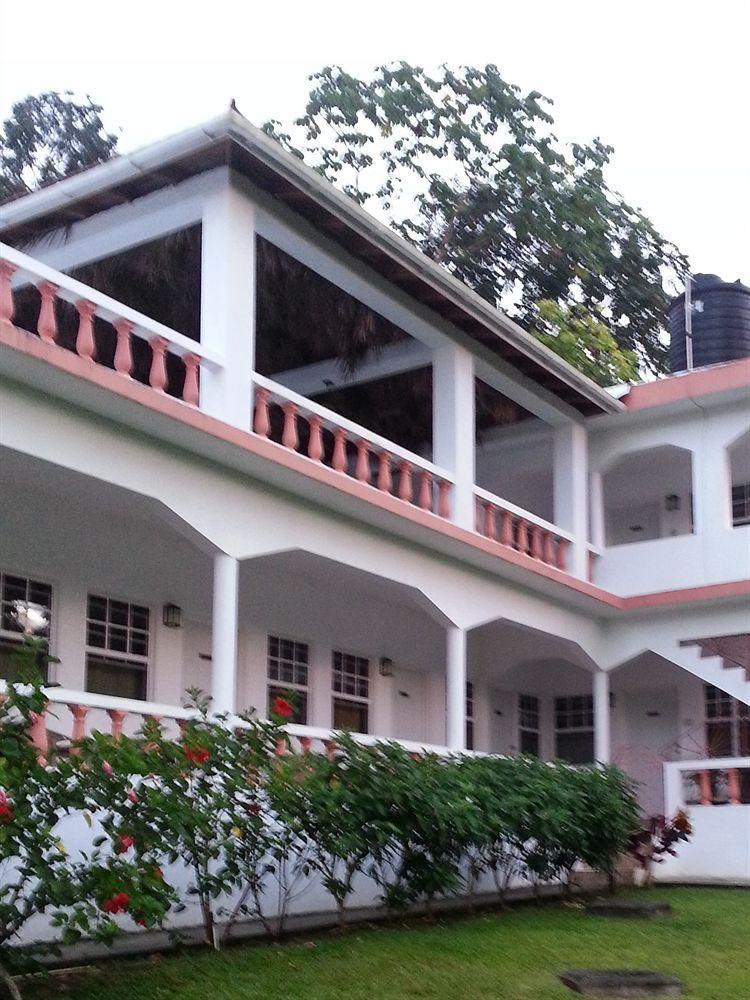 Polish Princess Guest House Port Antonio Luaran gambar