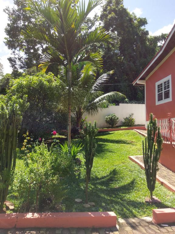 Polish Princess Guest House Port Antonio Luaran gambar