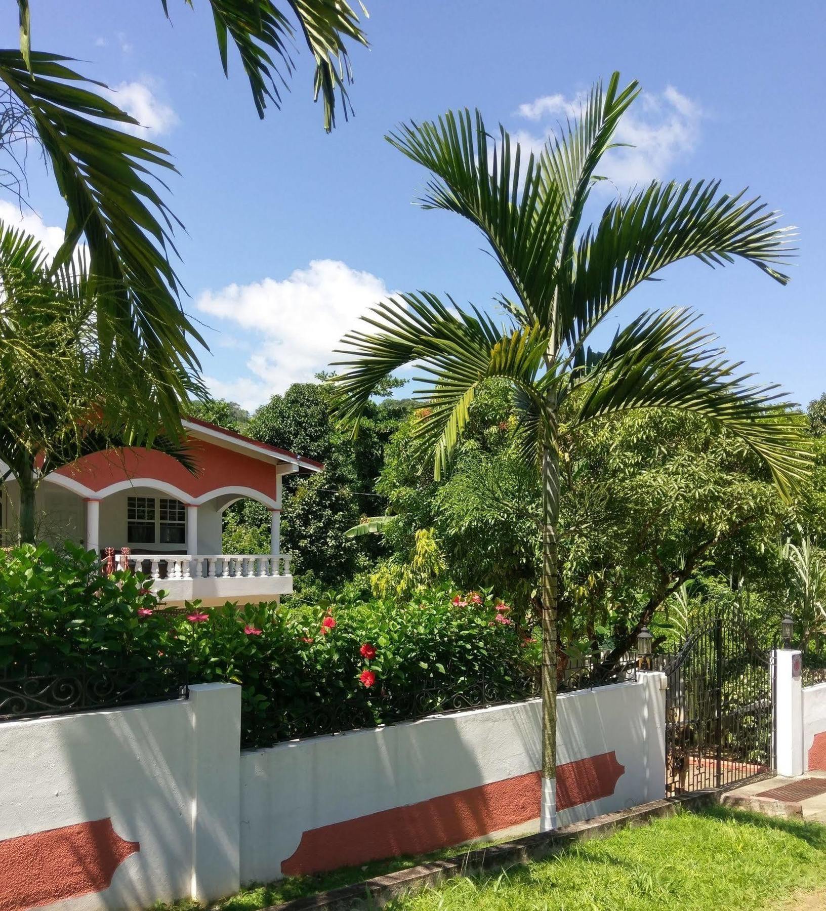 Polish Princess Guest House Port Antonio Luaran gambar