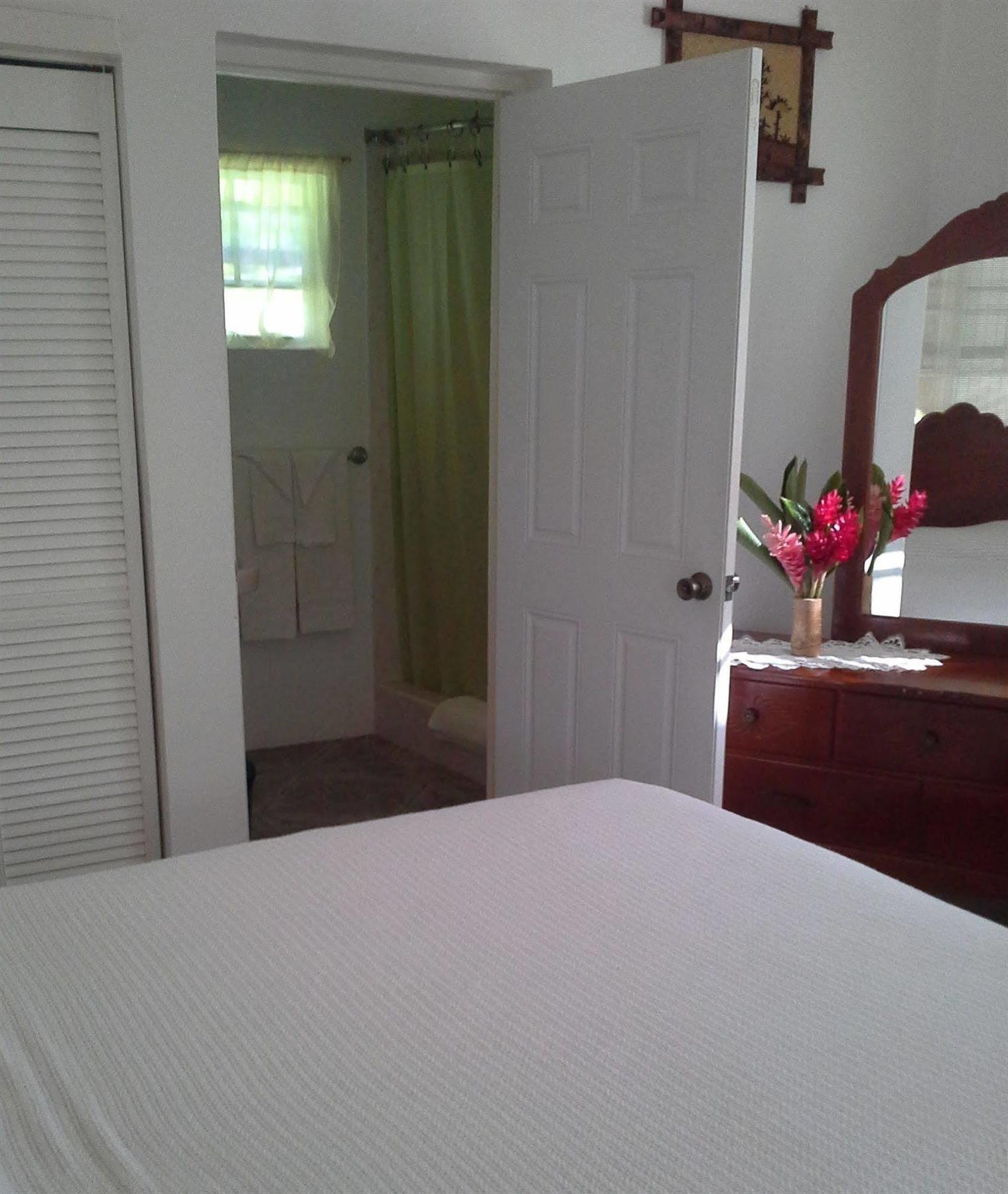Polish Princess Guest House Port Antonio Luaran gambar