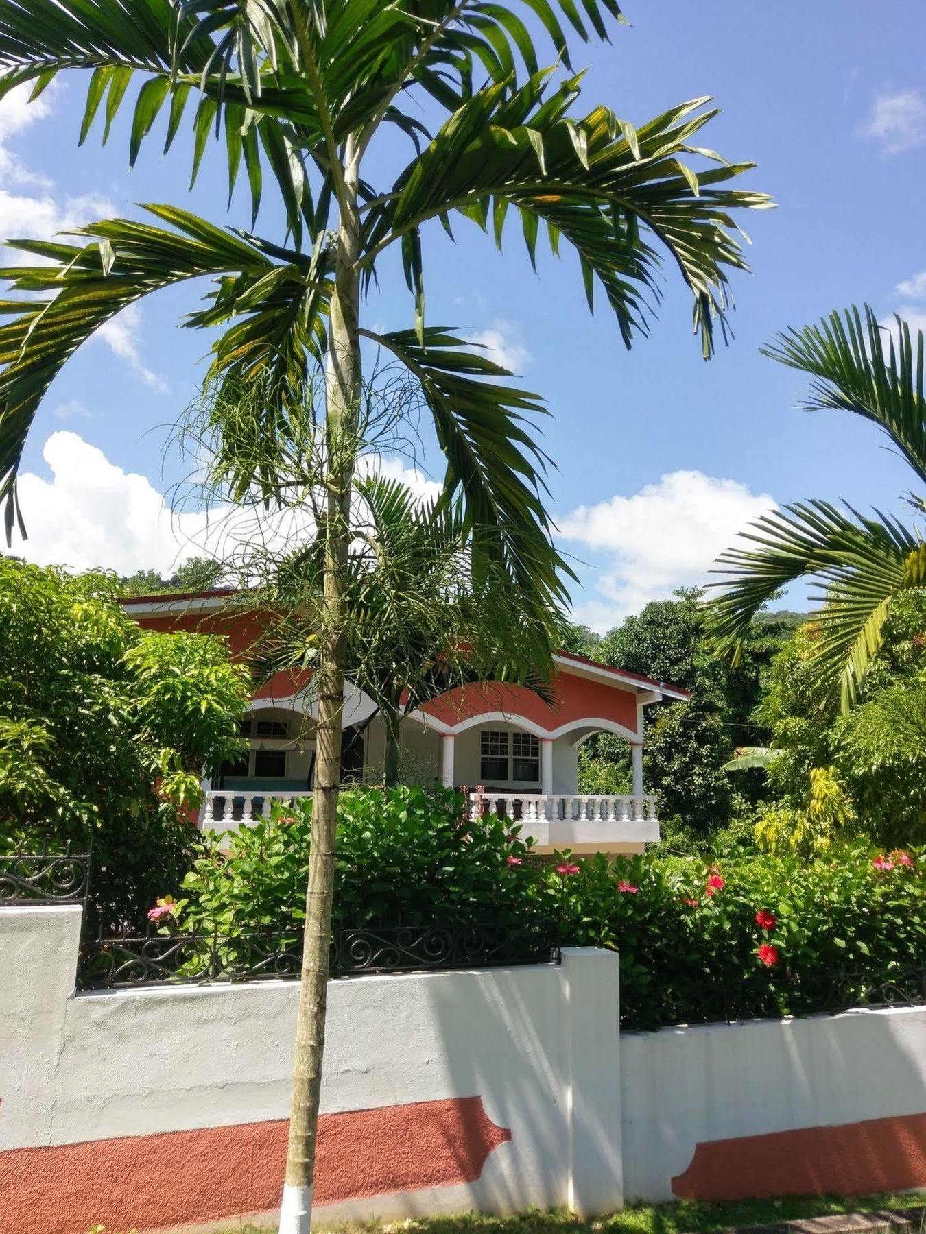 Polish Princess Guest House Port Antonio Luaran gambar