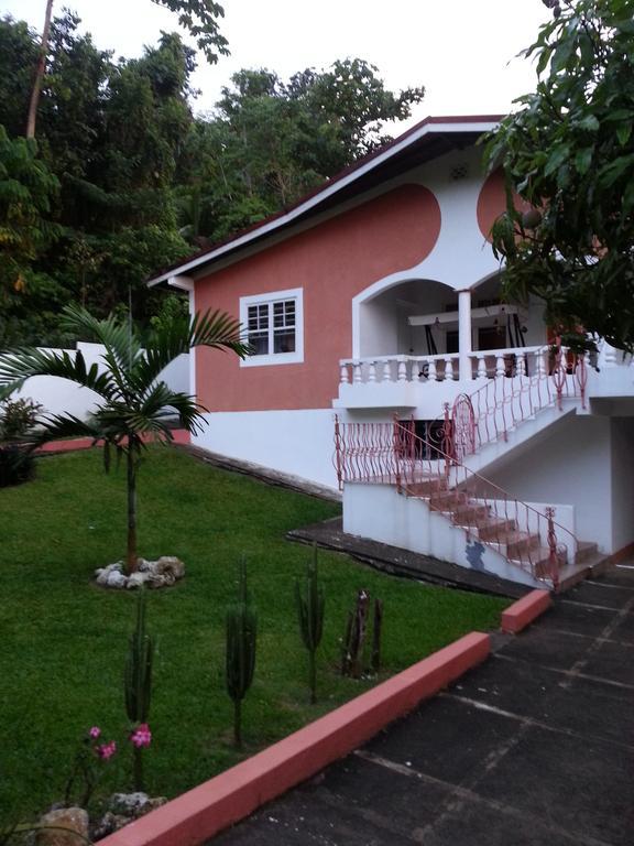 Polish Princess Guest House Port Antonio Luaran gambar