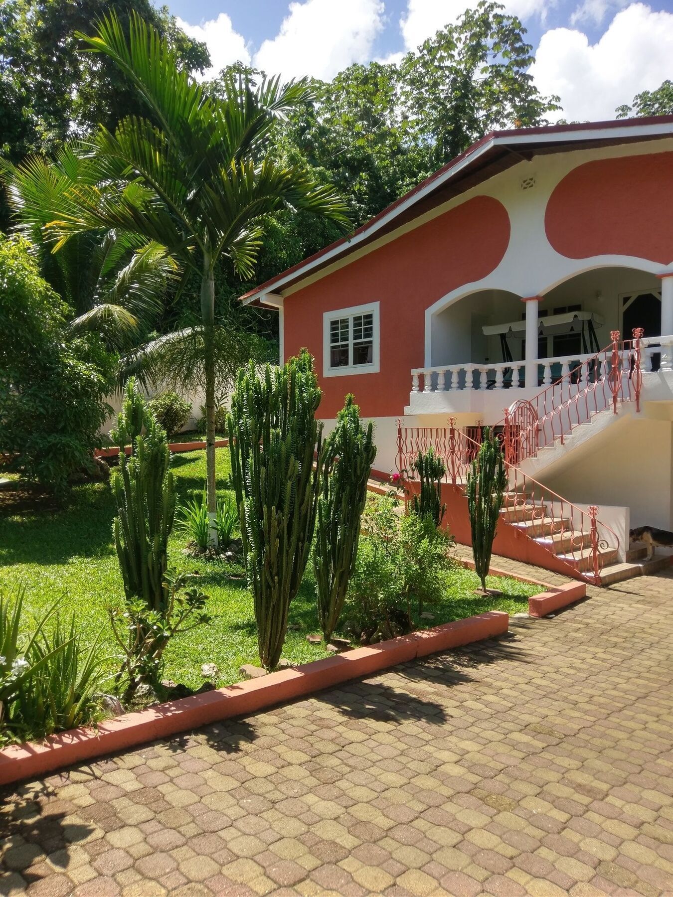 Polish Princess Guest House Port Antonio Luaran gambar